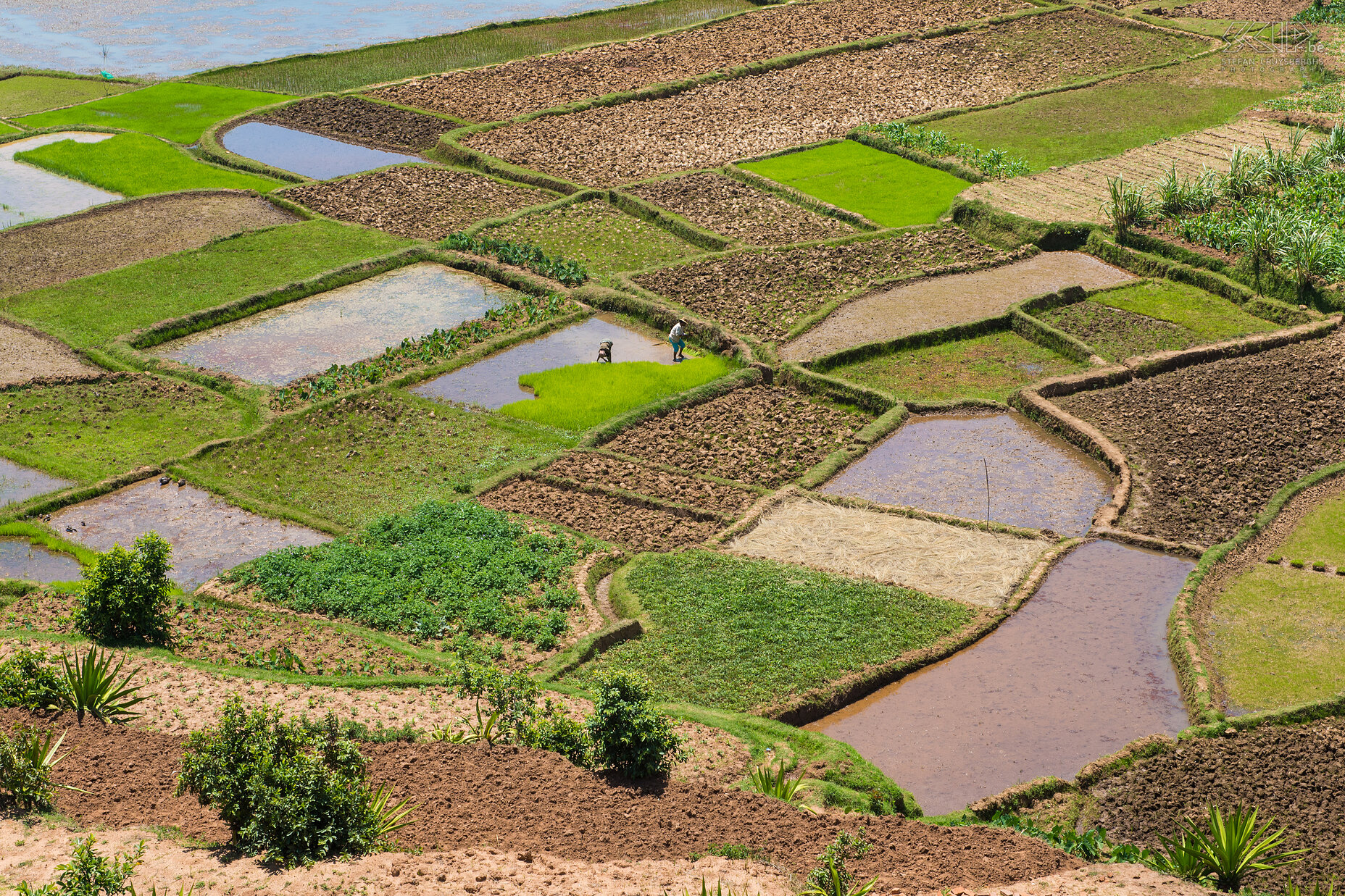 Befato - Rice paddies The region around the city Antsirabe is situated at an altitude of about 1200m to 1600m making its climate subtropical highland. This is perfect for farming and in the region is full of terraces and paddy fields with rice and vegetables. Stefan Cruysberghs